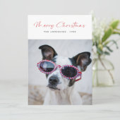 Modern Script Funny Dog Photo Family Christmas Red シーズンカード (スタンド正面)