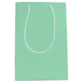 Modern Seafoam Green Plain Solid Color ミディアムペーパーバッグ (正面)
