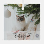 Modern Simple Classic at Name and Pet Photo  ガラスオーナメント (裏面)