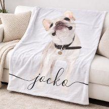 Modern Simple Elegant Chic Pet Photo Text