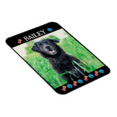 Modern Simple Pet Name and Photo  マグネット (右側)
