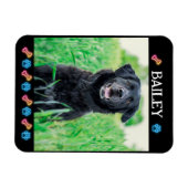 Modern Simple Pet Name and Photo  マグネット (横)