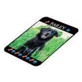 Modern Simple Pet Name and Photo  マグネット (左側)