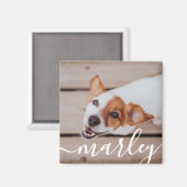 Modern Simple Playful Elegant Chic Pet Photo マグネット (正面/裏面)