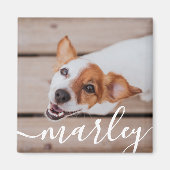 Modern Simple Playful Elegant Chic Pet Photo マグネット (正面)