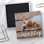Modern Simple Playful Elegant Chic Pet Photo マグネット<br><div class="desc">This simple and classic design is composed of serif typography and add a custom photo of your pet.</div>