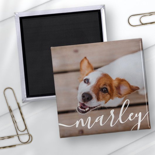 Modern Simple Playful Elegant Chic Pet Photo マグネット