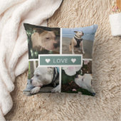 Modern Sympathy Pet Photos Collage クッション (ブランケット)