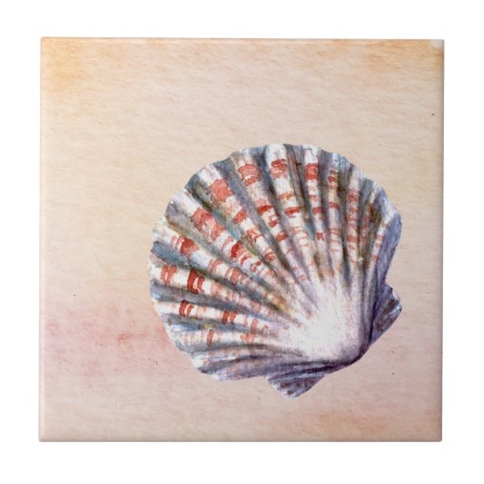 Modern watercolor background Seashell Painting タイル (正面)