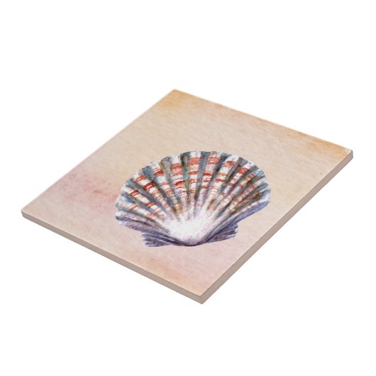 Modern watercolor background Seashell Painting タイル (側面)