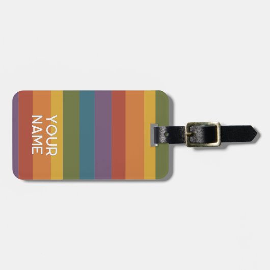 Moderna Linear | MCM Rainbow ラゲッジタグ (正面横)