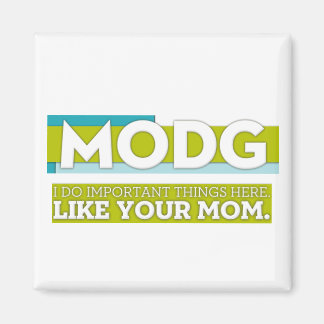 MODGマグネット マグネット