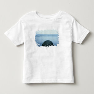 Moerakiの大きい石 トドラーTシャツ