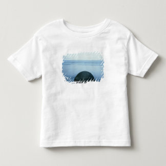 Moerakiの大きい石 トドラーTシャツ