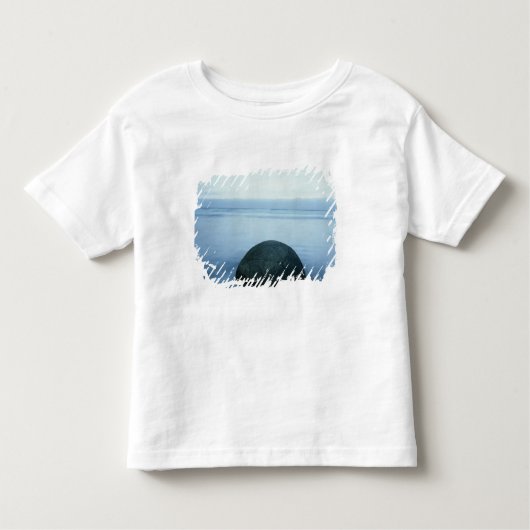 Moerakiの大きい石 トドラーTシャツ (正面)