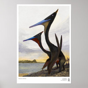 Moganopterus at the Beach ポスター