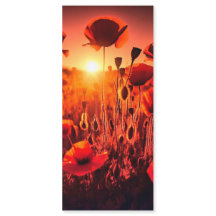 Mohn im Gegenlicht