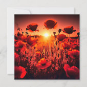 Mohn im Gegenlicht カード (正面)