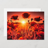 Mohn im Gegenlicht シーズンポストカード (正面/裏面)
