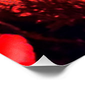 Mohn im Gegenlicht ポスター (コーナー)