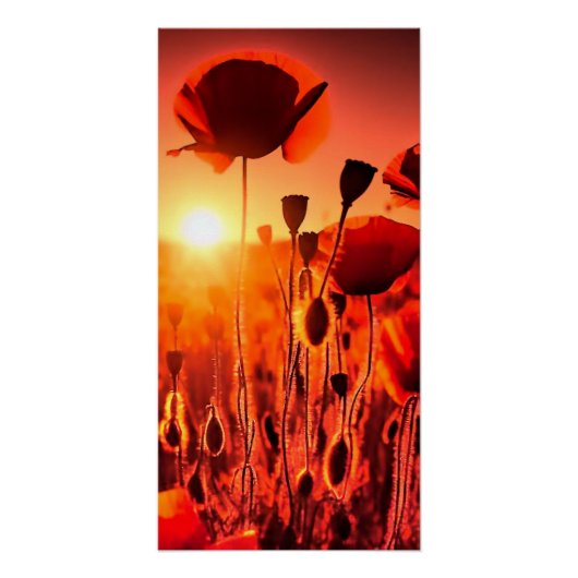 Mohn im Gegenlicht ポスター (正面)