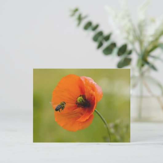 Mohn mit Biene ポストカード (スタンド正面)