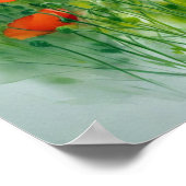Mohnblumenwiese, Aquarell - ポスター (角)