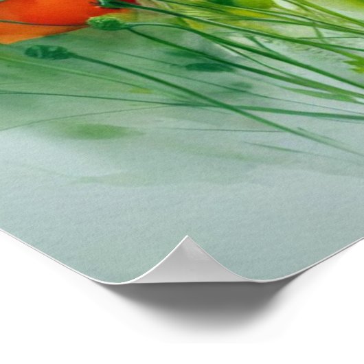 Mohnblumenwiese, Aquarell -  ポスター (角)