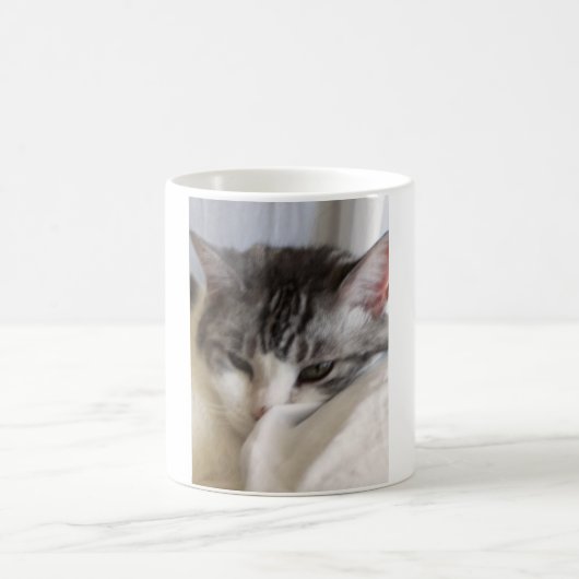 Moira (cat)写真 コーヒーマグカップ (中央)