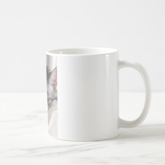 Moira (cat)写真 コーヒーマグカップ (右)