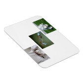 Moira、Riley、Tyler Photo Collage マグネット (右側)