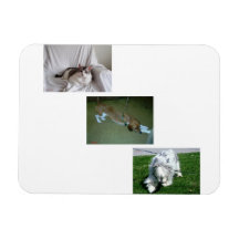 Moira、Riley、Tyler Photo Collage