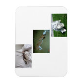 Moira、Riley、Tyler Photo Collage マグネット (縦)