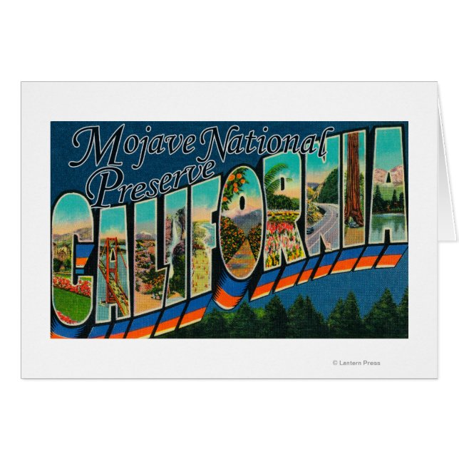 Mojave Nat'l Preserve（カリフォルニア） (正面横)