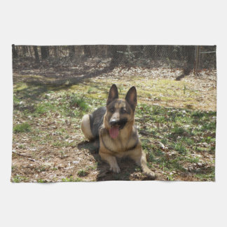 mojo手タオルにあなたのベビーを置いて下さい キッチンタオル