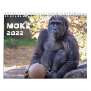 Moke 2022カレンダー カレンダー