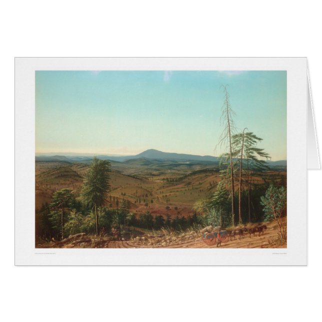 Mokelumneの丘、Calaveras郡、CA. (0133A) (正面横)