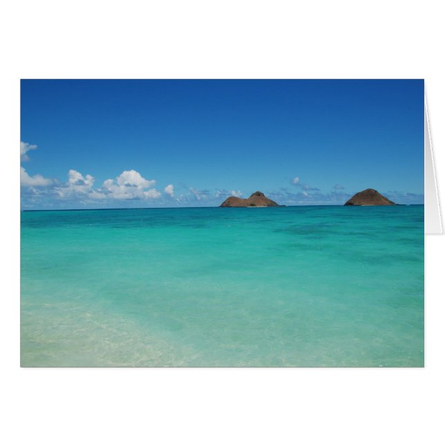 Mokuluaの島 (正面横)