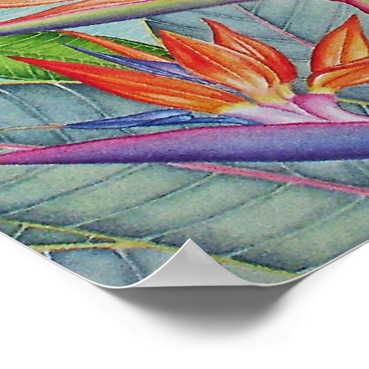 Mokuluas, Hawaii ポスター (角)