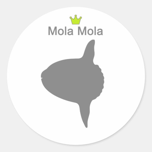 Mola Mola g5 ラウンドシール (正面)