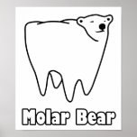 Molar Bear Polar Tooth Bear ポスター<br><div class="desc"></div>