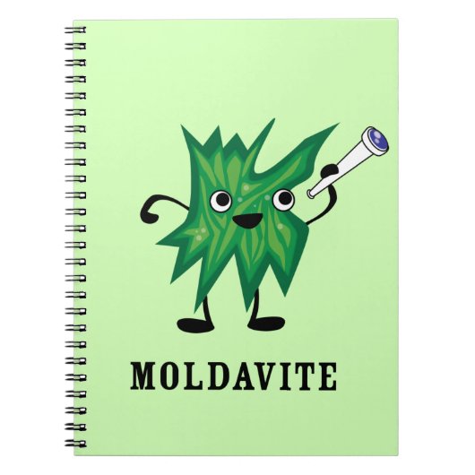 Moldavite ノートブック (正面)