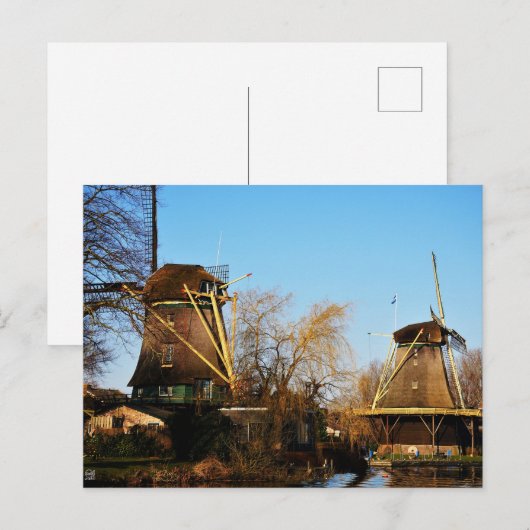 Molens in Nederlands landschap. ポストカード (正面/裏面)