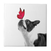 Mollie Mäusekind Boston Terrier タイル (正面)