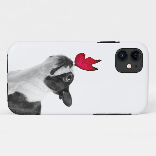 Mollie Mäusekind Boston Terrier Case-Mate iPhoneケース (裏面(横))