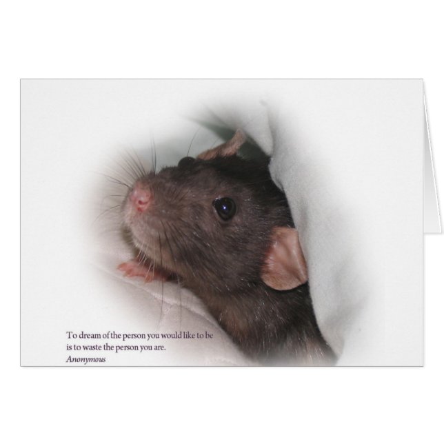 Molly1withsaying (正面横)