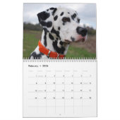 Molo カレンダー (2月 2026)