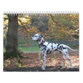 Molo カレンダー (カバー)