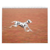 molo 2010年 カレンダー (カバー)