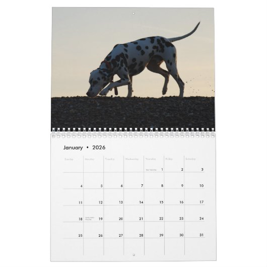 molo 2010年 カレンダー (1月 2026)